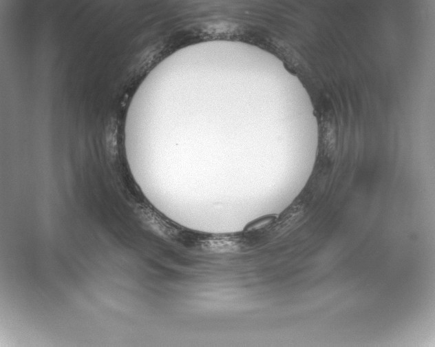 X0000052990668200508051109