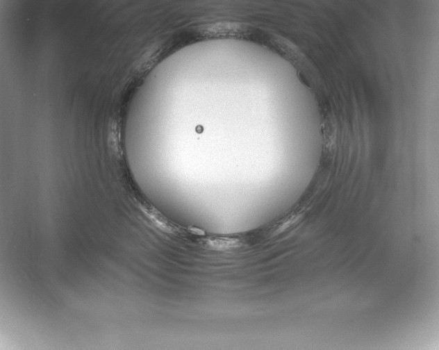 X0000052990669200508051109