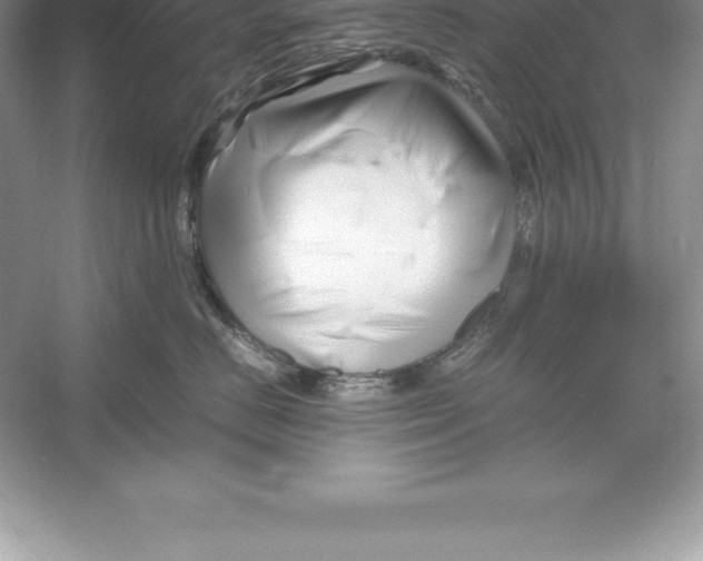 X0000052990670200508051109