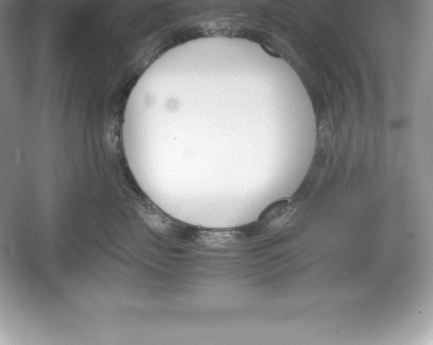 X0000052990671200508051109