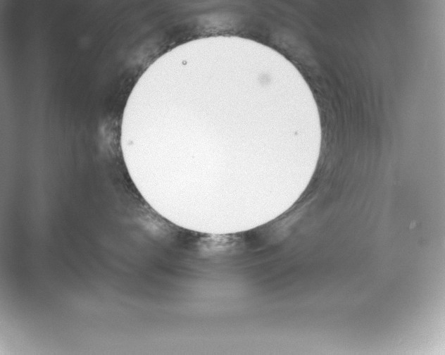 X0000052990672200508051109