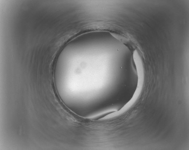 X0000052990673200508051108