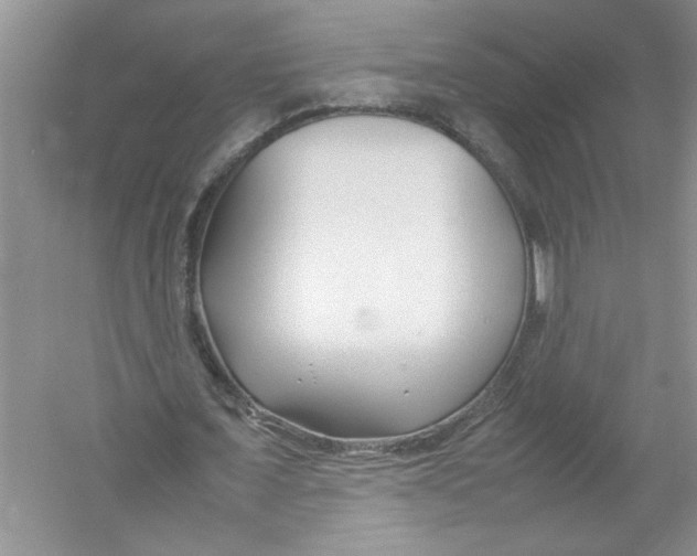 X0000052990675200508051108