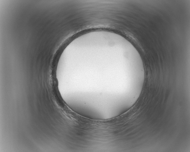 X0000052990676200508051108