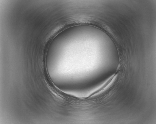 X0000052990677200508051108