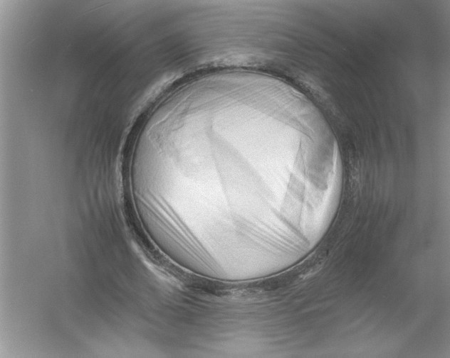 X0000052990678200508051108