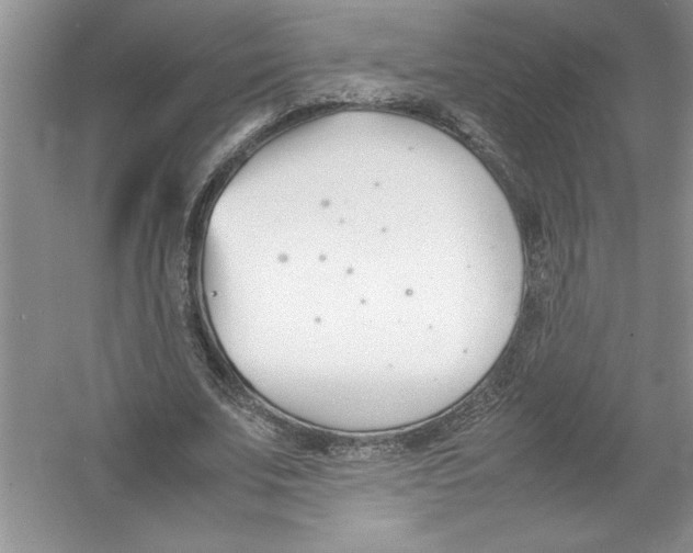 X0000052990679200508051108