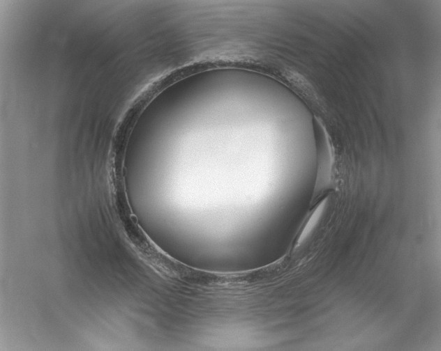 X0000052990680200508051108