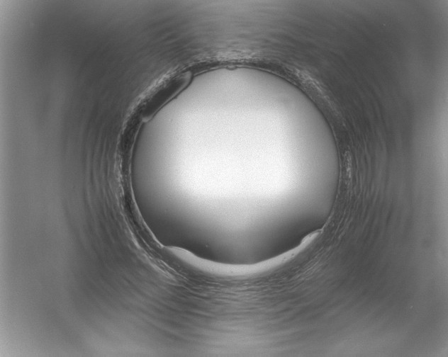 X0000052990684200508051108