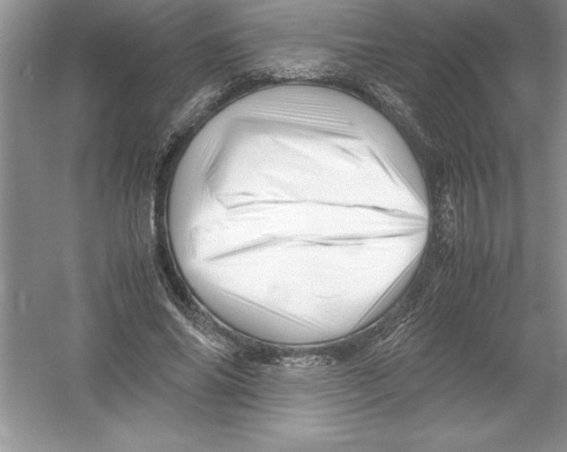 X0000052990686200508051108