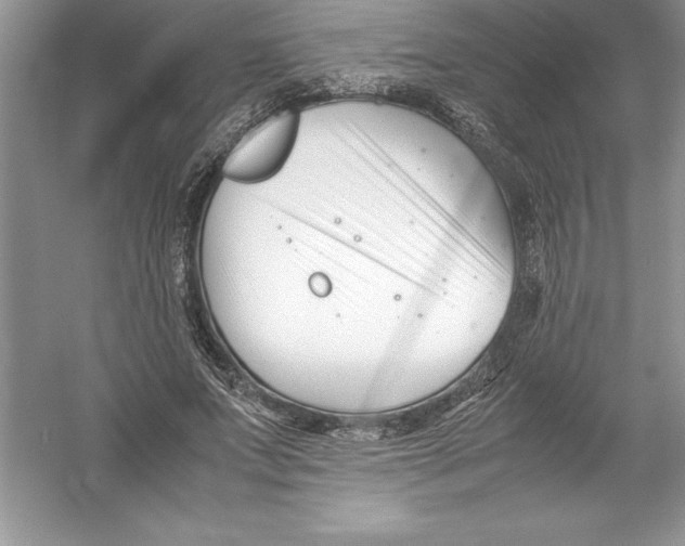 X0000052990687200508051108