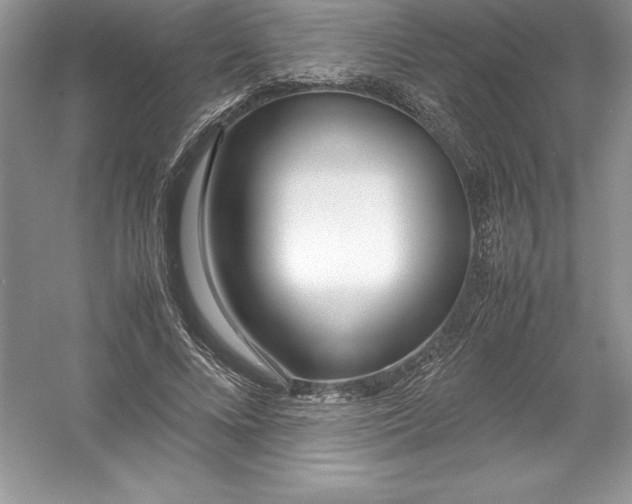 X0000052990688200508051108