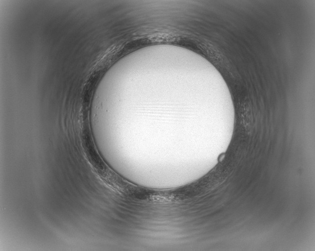 X0000052990690200508051108