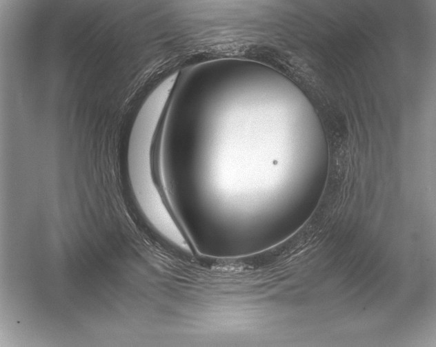 X0000052990693200508051108