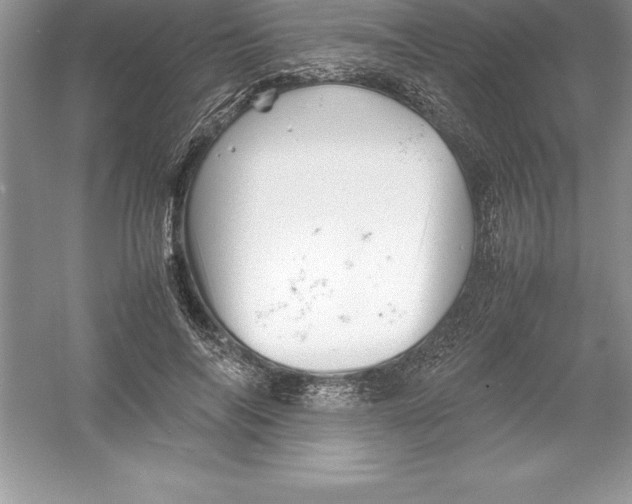 X0000052990694200508051108