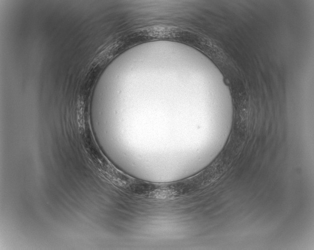 X0000052990696200508051108