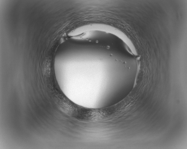 X0000052990697200508051108