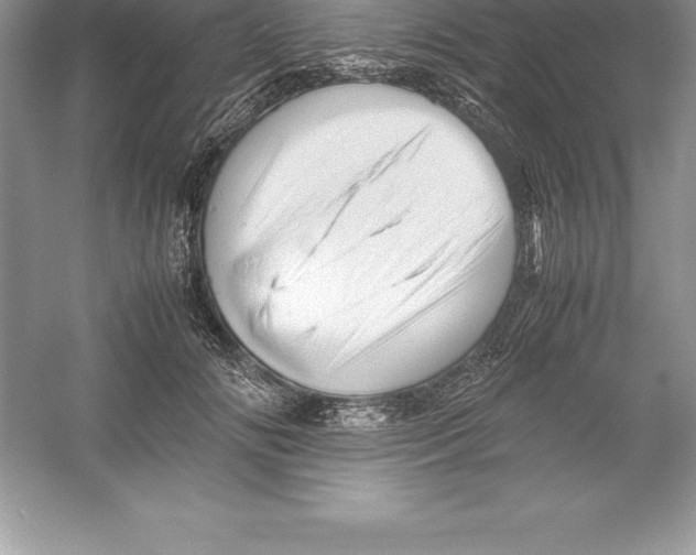 X0000052990702200508051108