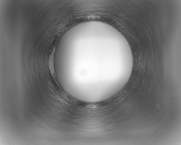 X0000052990704200508051108