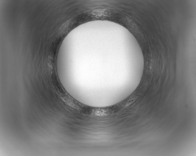 X0000052990710200508051108