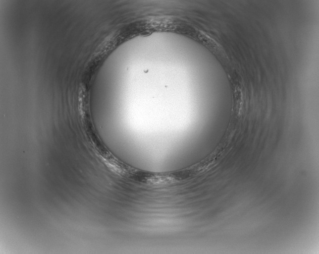 X0000052990712200508051108