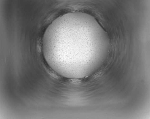 X0000052990719200508051108