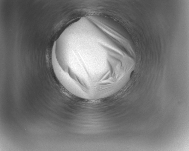 X0000052990720200508051108