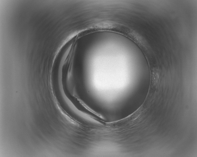 X0000052990726200508051107