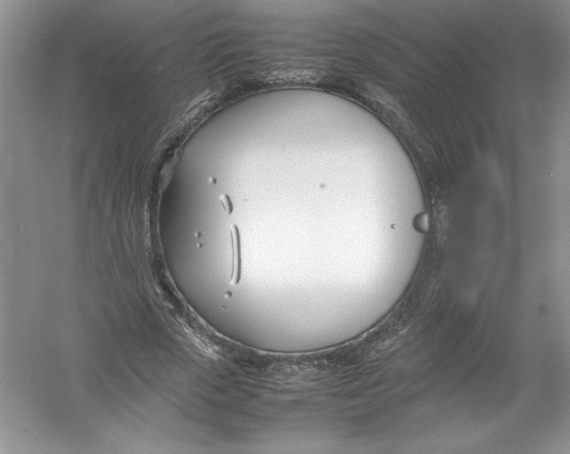 X0000052990729200508051107