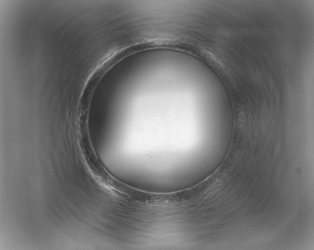 X0000052990730200508051107