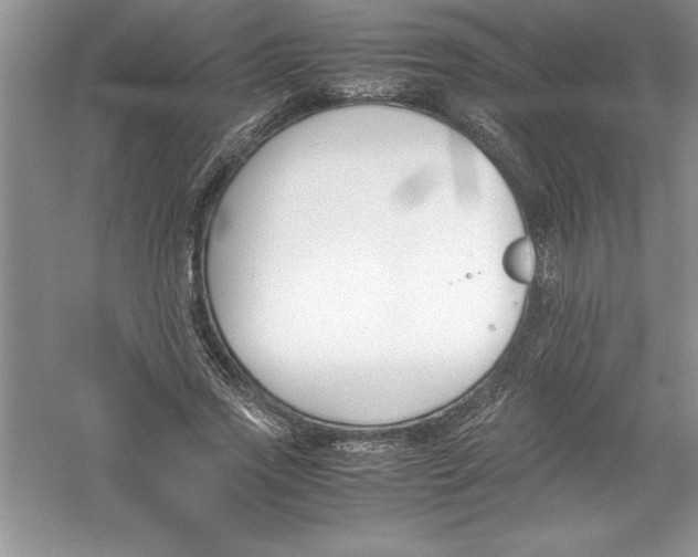 X0000052990733200508051107