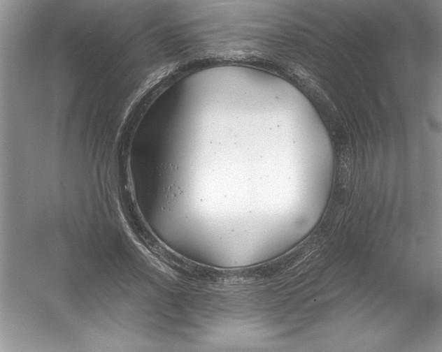 X0000052990734200508051107