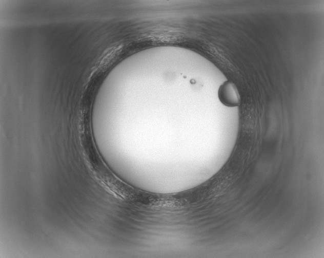 X0000052990738200508051107