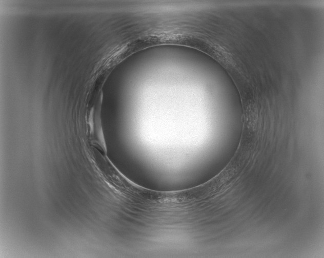 X0000052990740200508051107