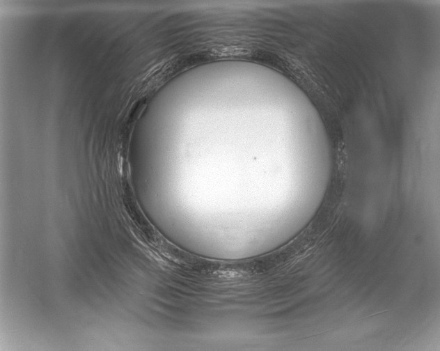 X0000052990741200508051107