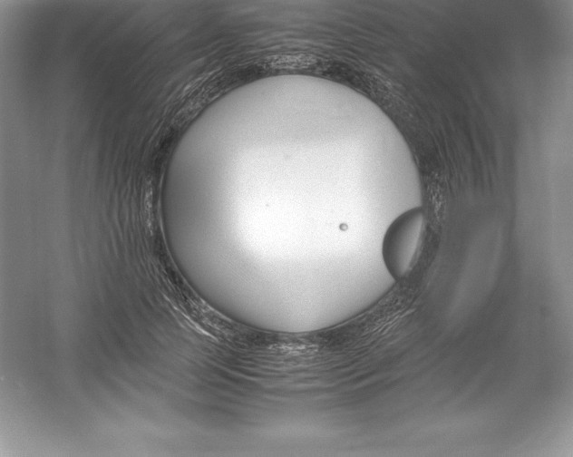 X0000052990745200508051107