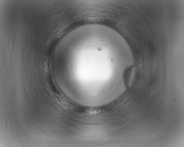 X0000052990746200508051107