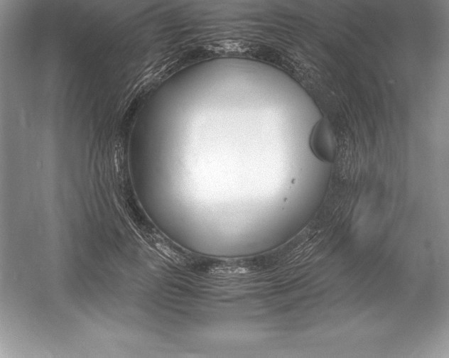 X0000052990747200508051107