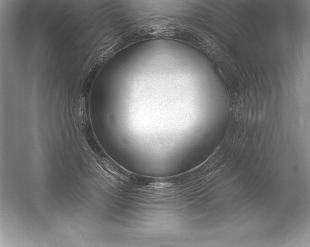 X0000052990748200508051107