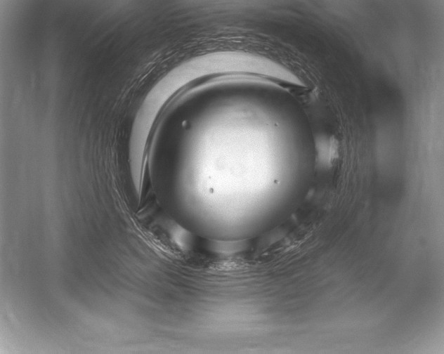 X0000052990750200508051107