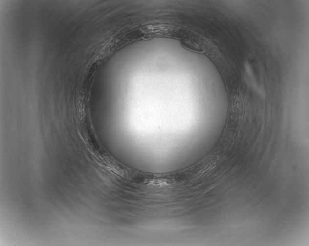 X0000052990751200508051107