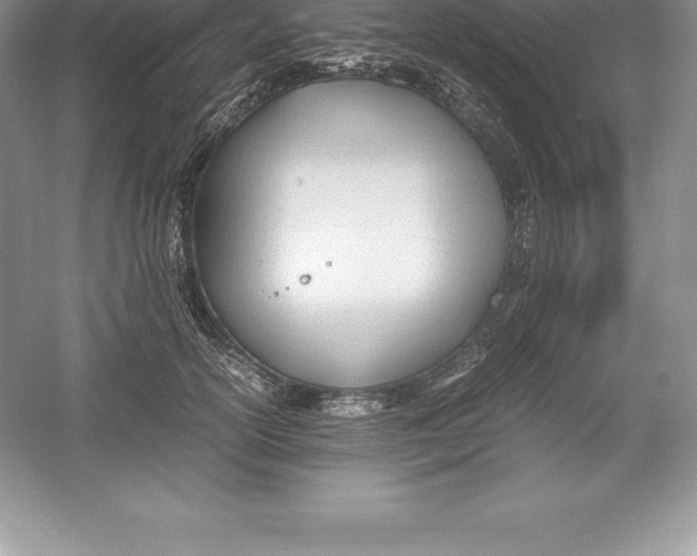 X0000052990754200508051107