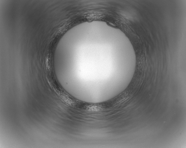 X0000052990755200508051107