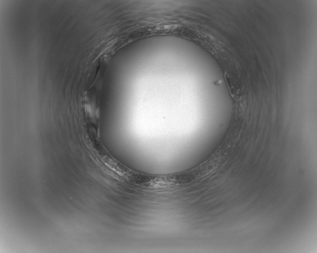 X0000052990756200508051107