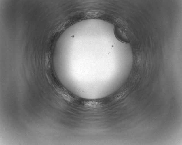 X0000052990759200508051107