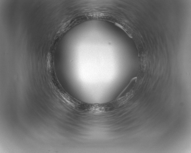 X0000052990760200508051107