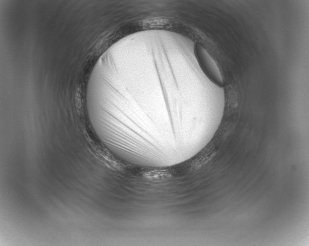 X0000052990761200508051107