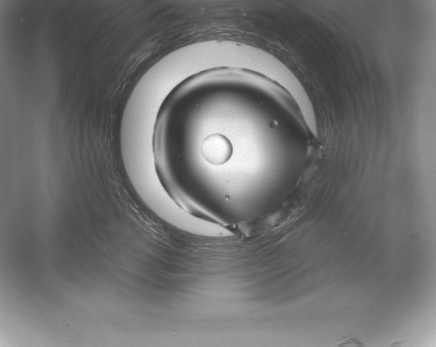 X0000052990762200508051107