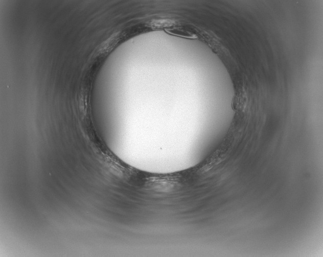 X0000052990763200508051107