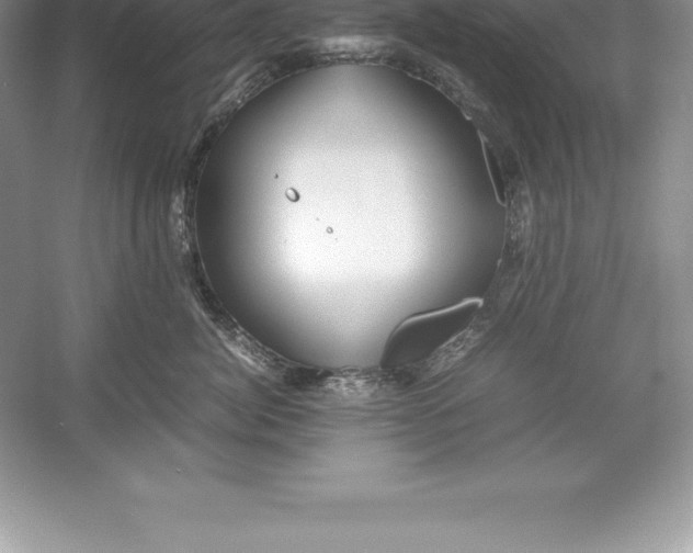 X0000052990764200508051108